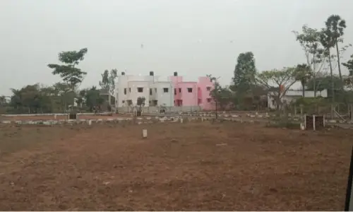 Gallery Image 6